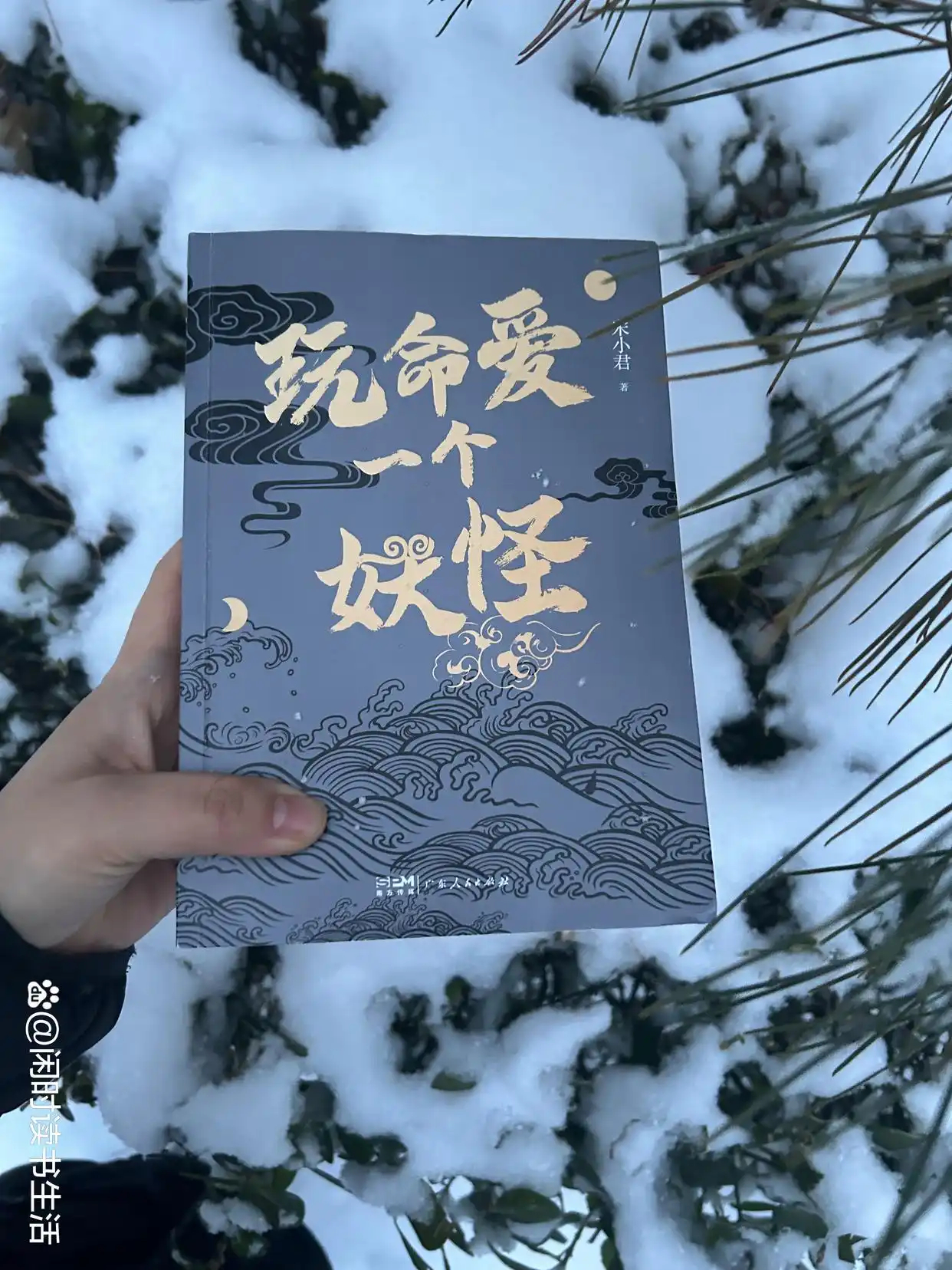 歌颂爱情书籍_玩命爱一个妖怪_玩命爱个姑娘在线观看