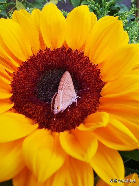 75岁独居生活_女明星晚年孤独_晚年重获新生